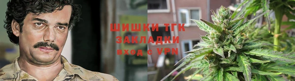 PSILOCYBIN Заводоуковск