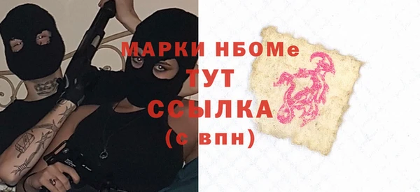 соль ск Ельня