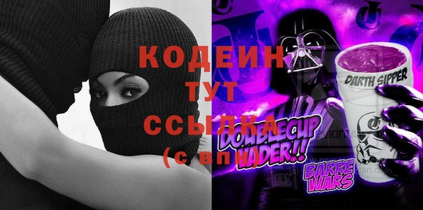 шишки Елабуга