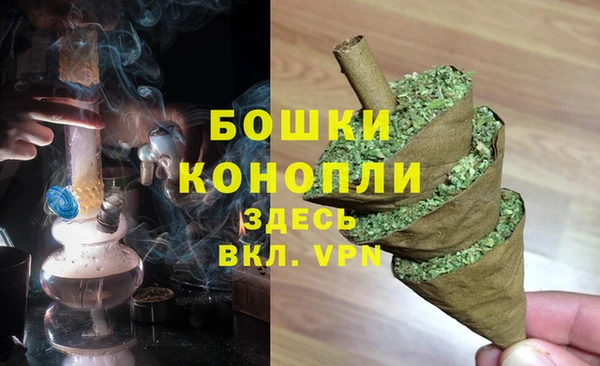 PSILOCYBIN Заводоуковск