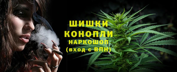 PSILOCYBIN Заводоуковск