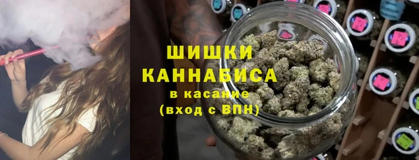 PSILOCYBIN Заводоуковск